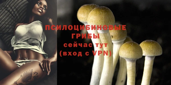 прущие грибы Абинск