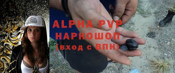 прущие грибы Абинск