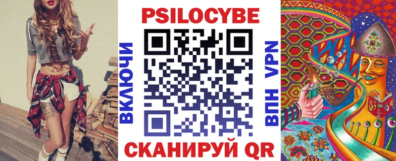 Псилоцибиновые грибы Psilocybine cubensis  Мосальск 